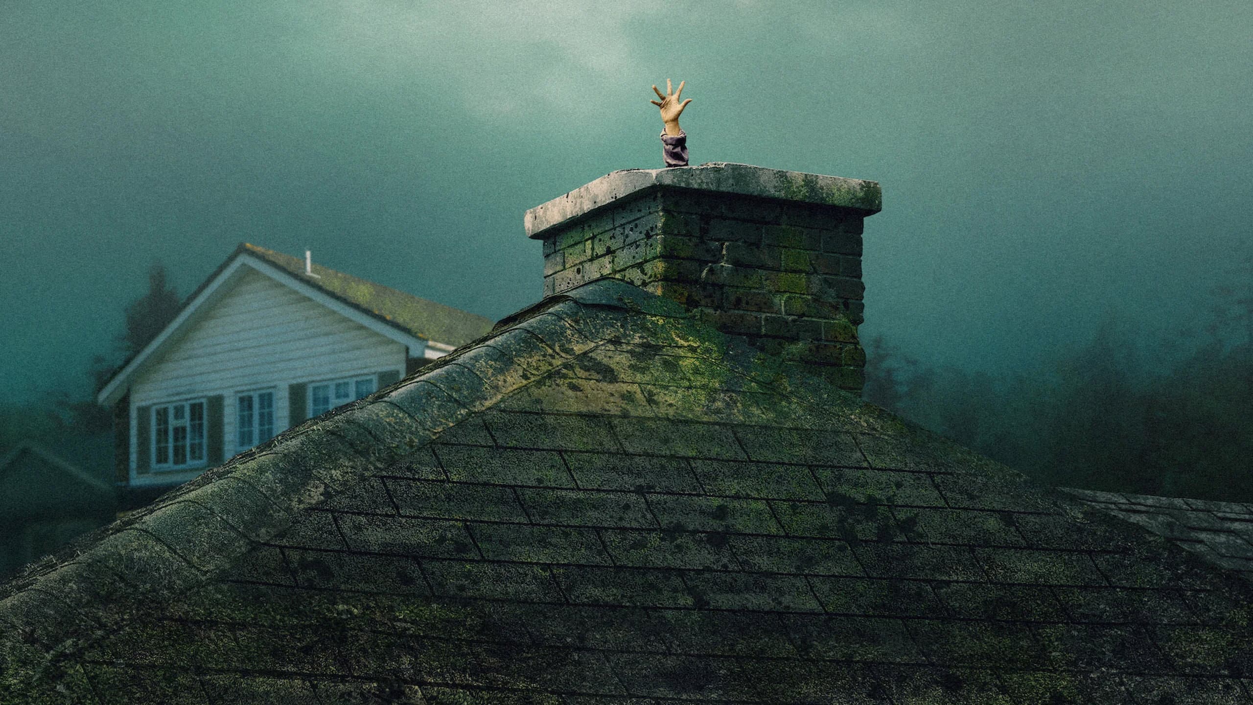 movie poster for The Last House