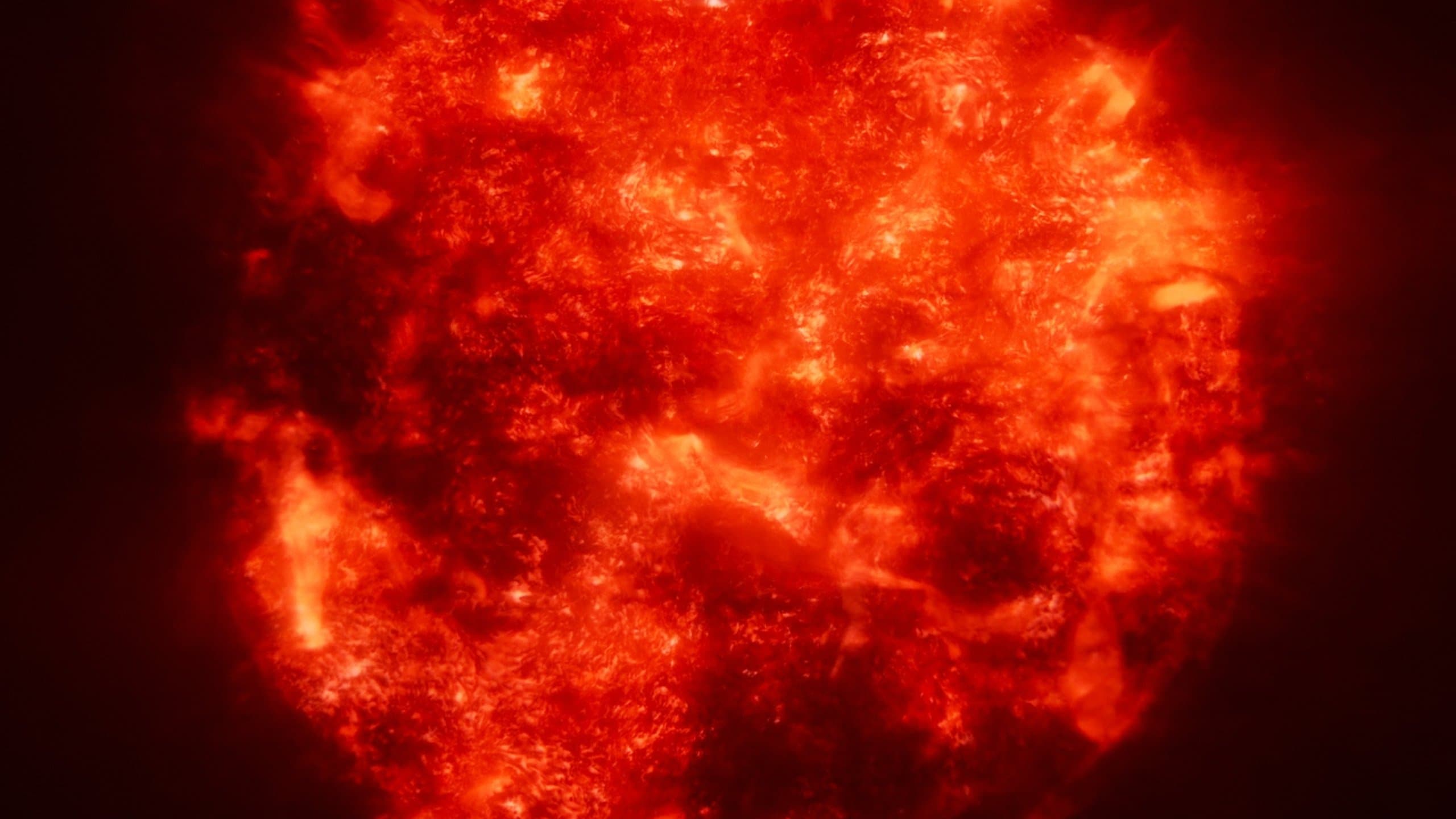 movie poster for undefined