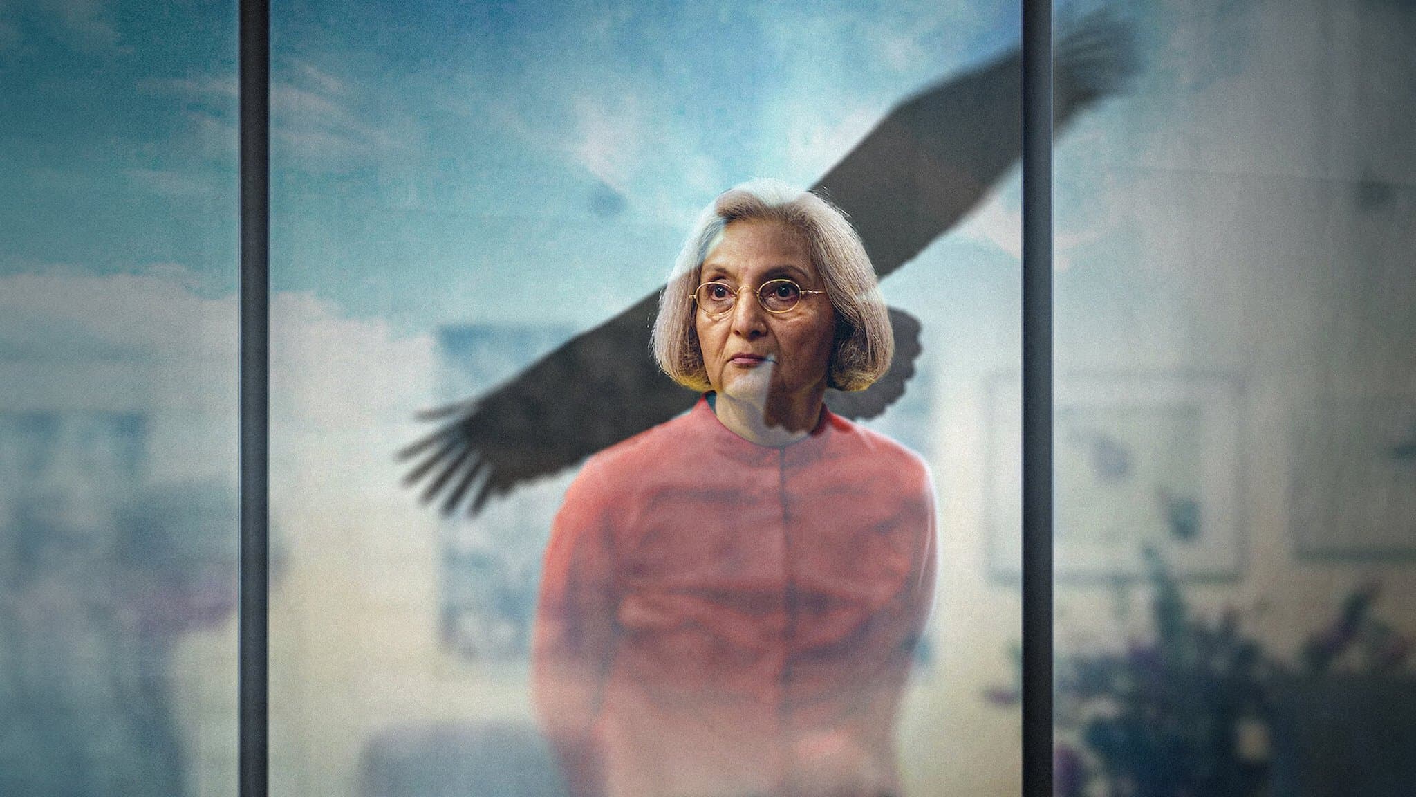 movie poster for Searching for Sheela