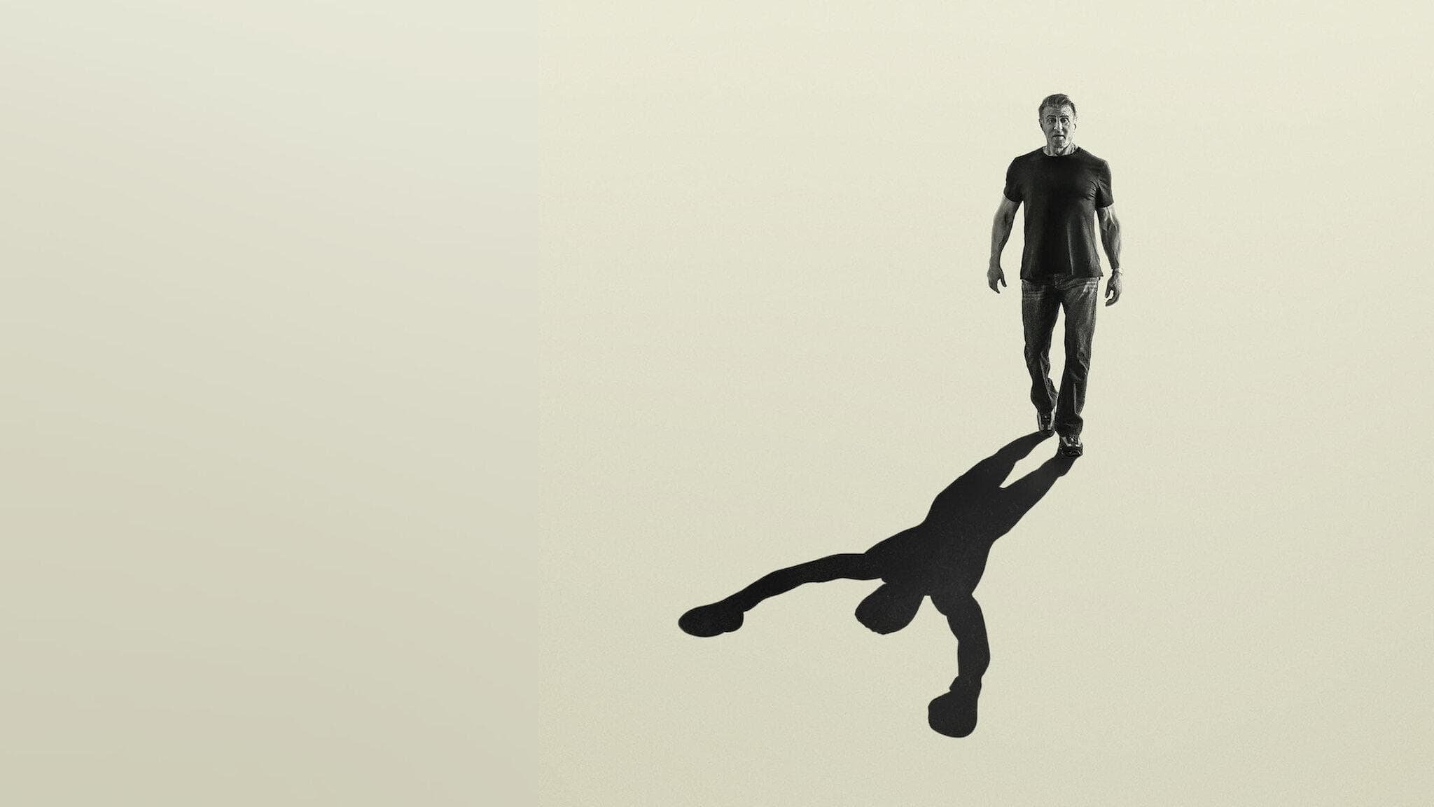 movie poster for Sly