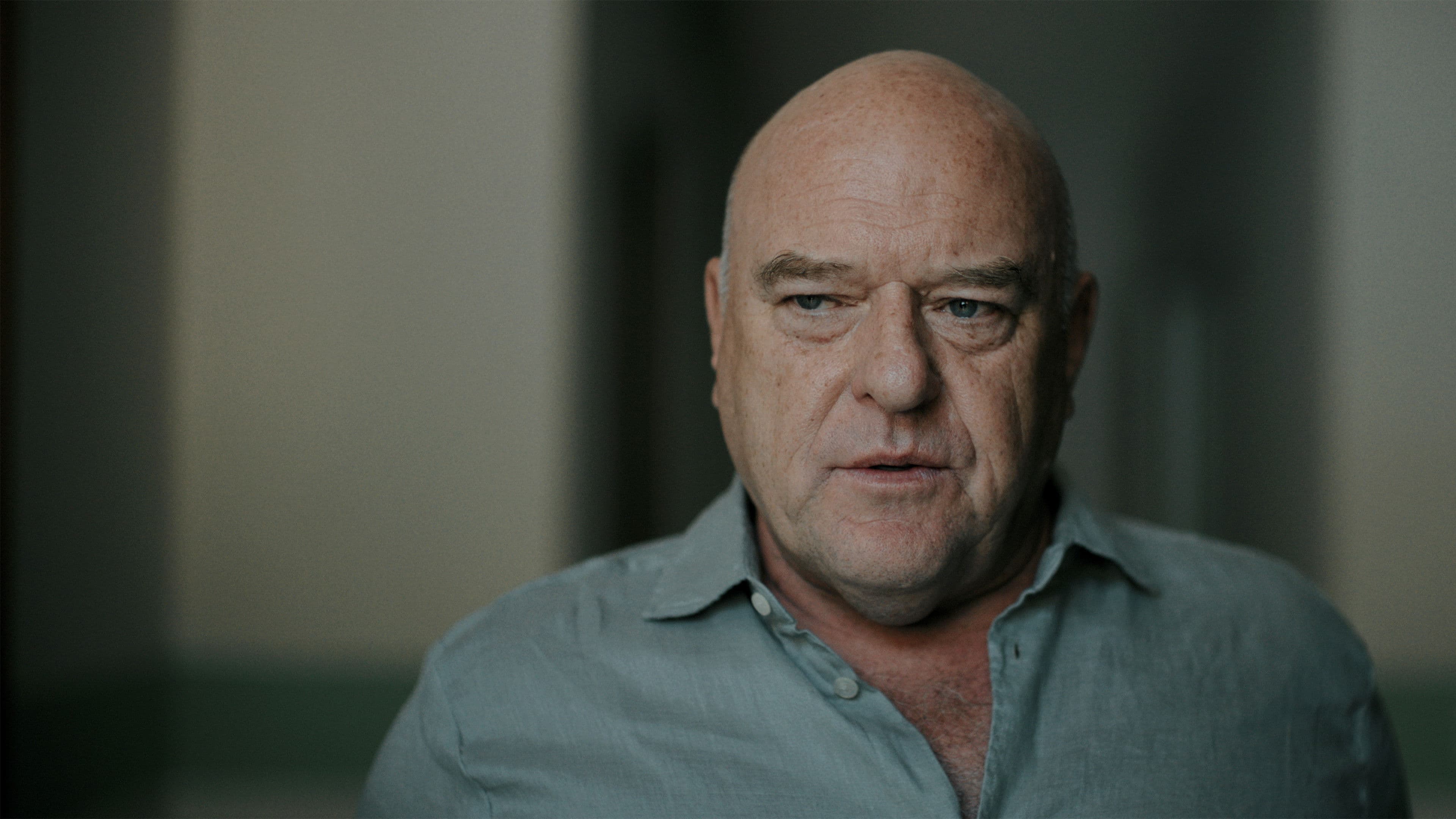 movie poster for Border Hunters