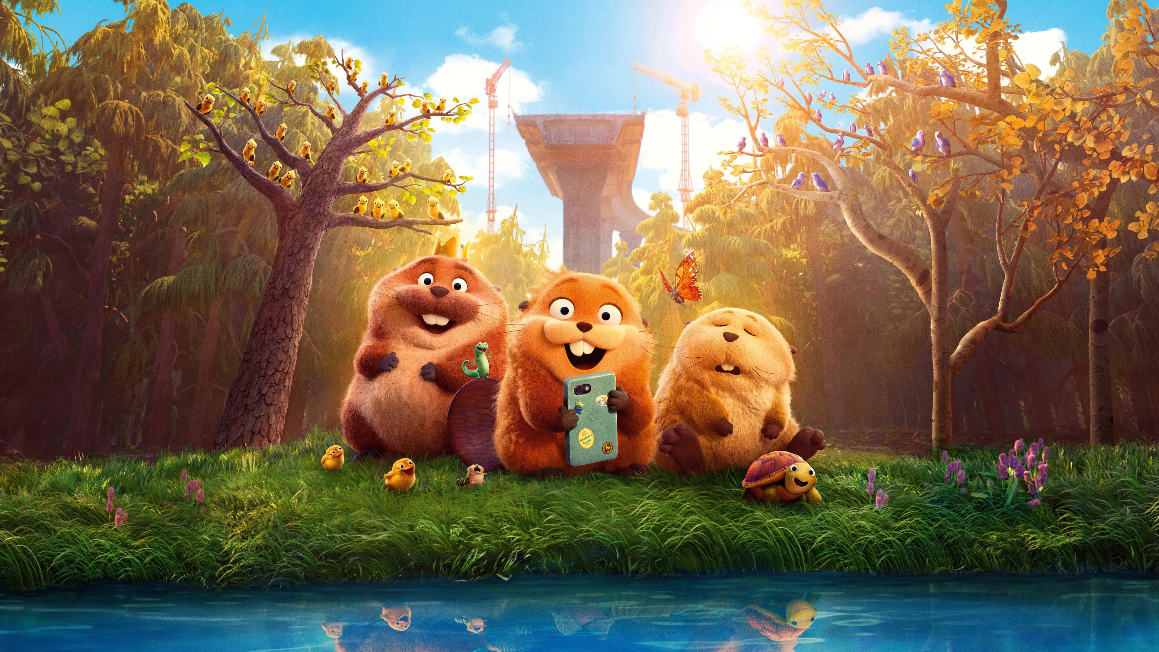 Picture of the author