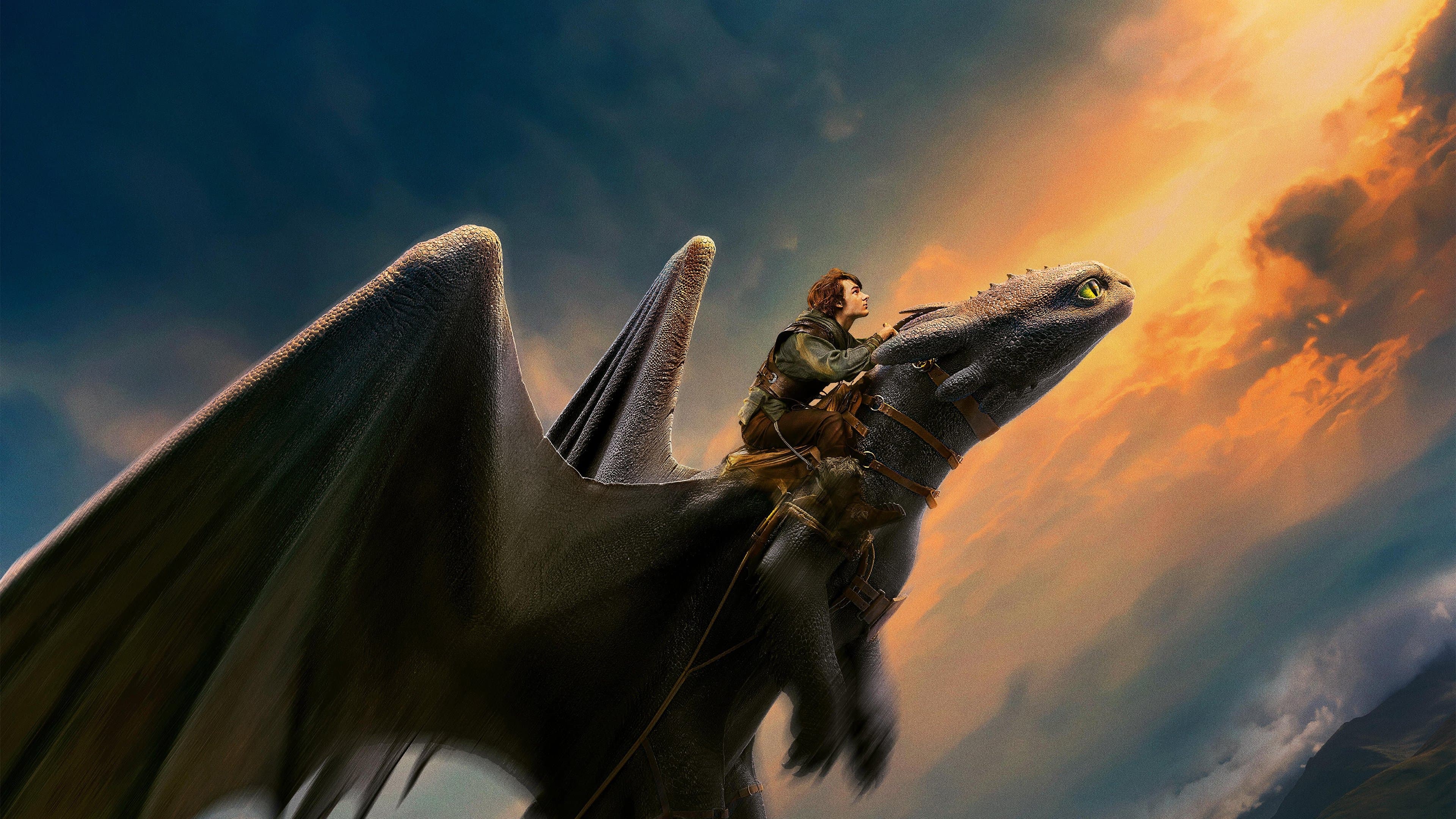 movie poster for How to Train Your Dragon